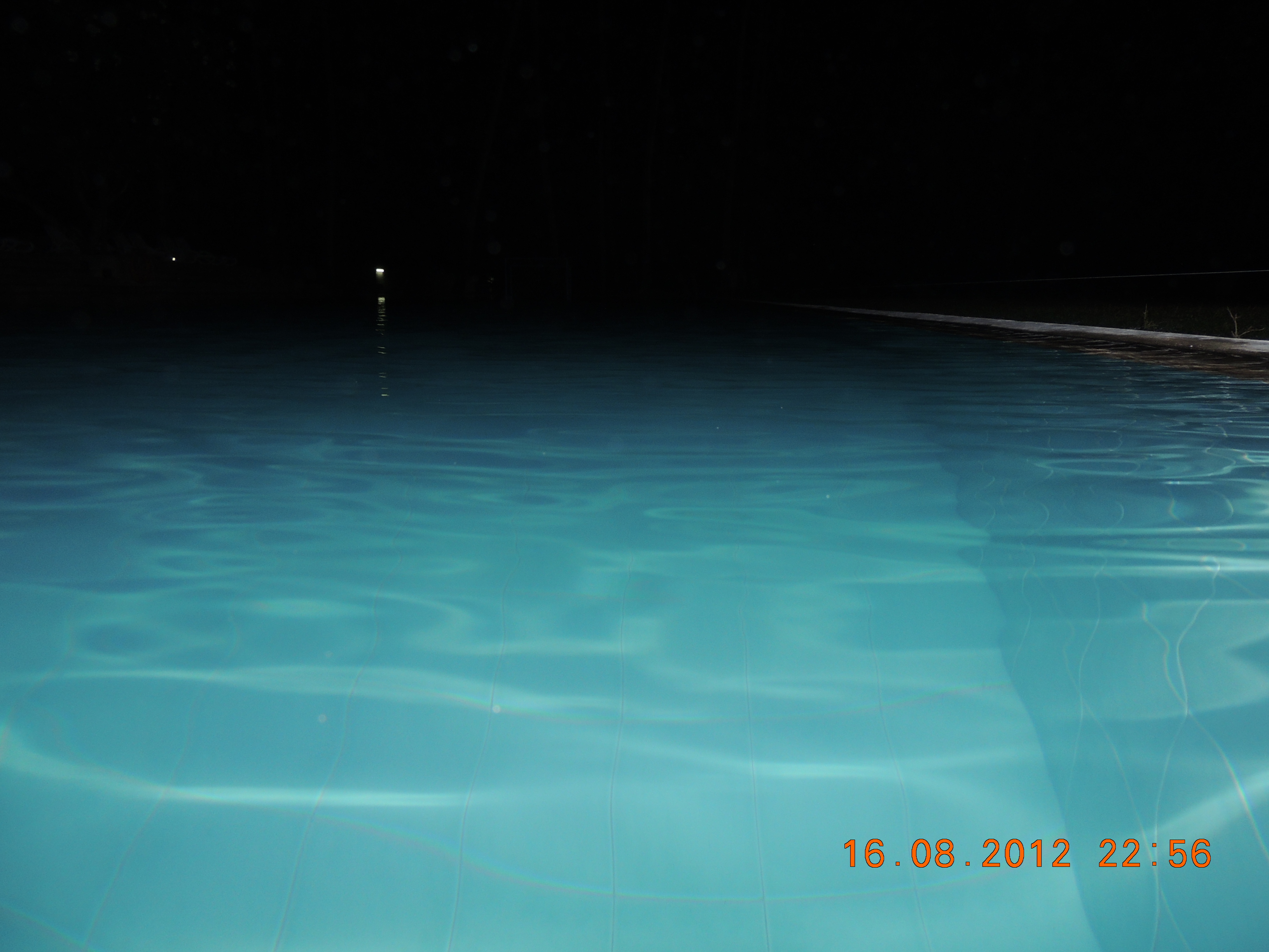 DSCN1517